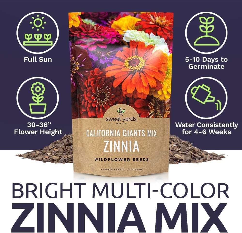 Vibrant California Giants Zinnia Seeds – 12,000 in 1/4 lb Resealable Packaging