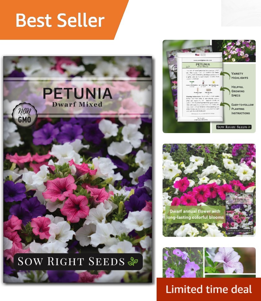 Fragrant Dwarf Petunia Seeds – Attract Pollinators with Vibrant Heirloom Blooms