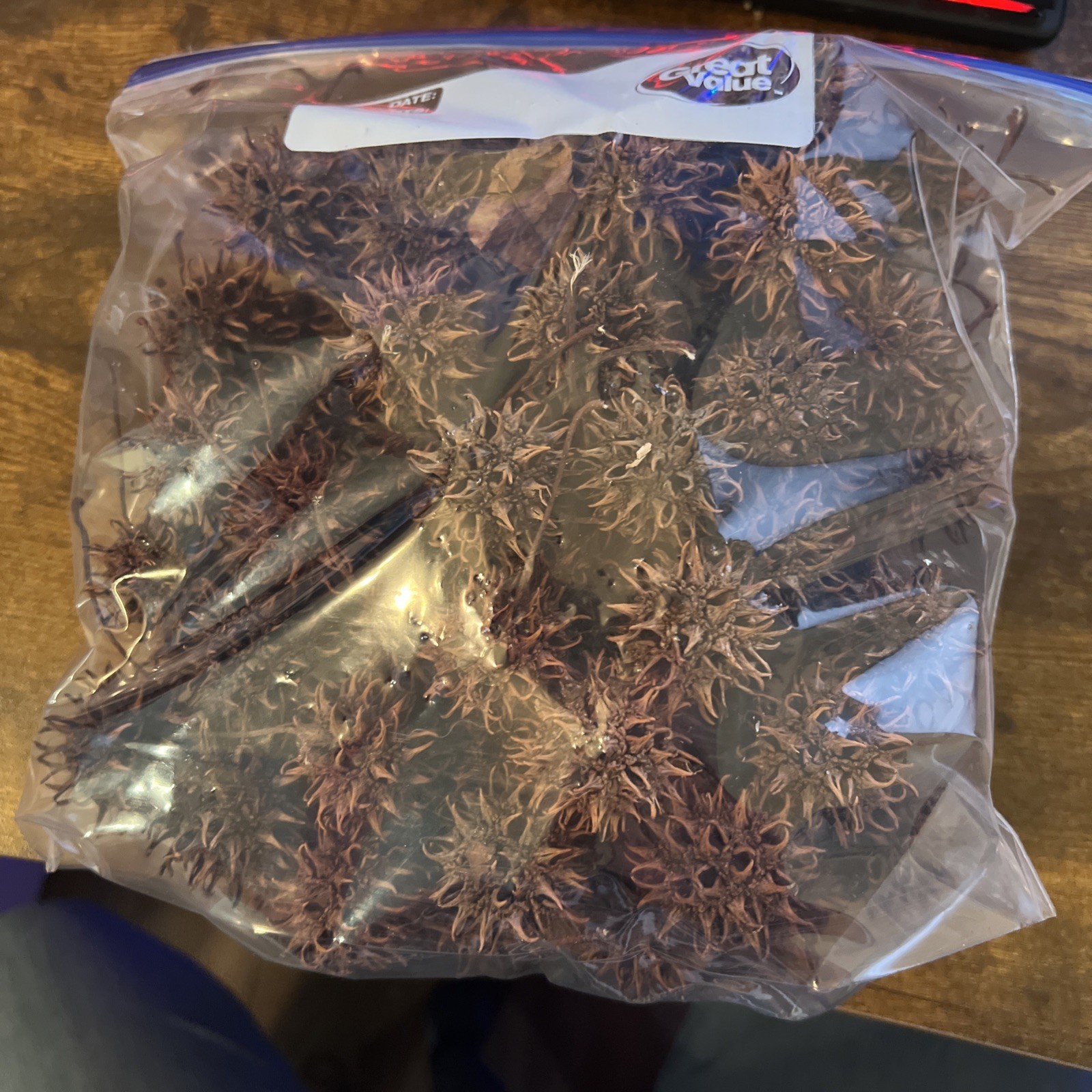 1 Gallon of American Sweetgum Sweet Gum Seed Pods Approx 80 Pods Crafts Georgia