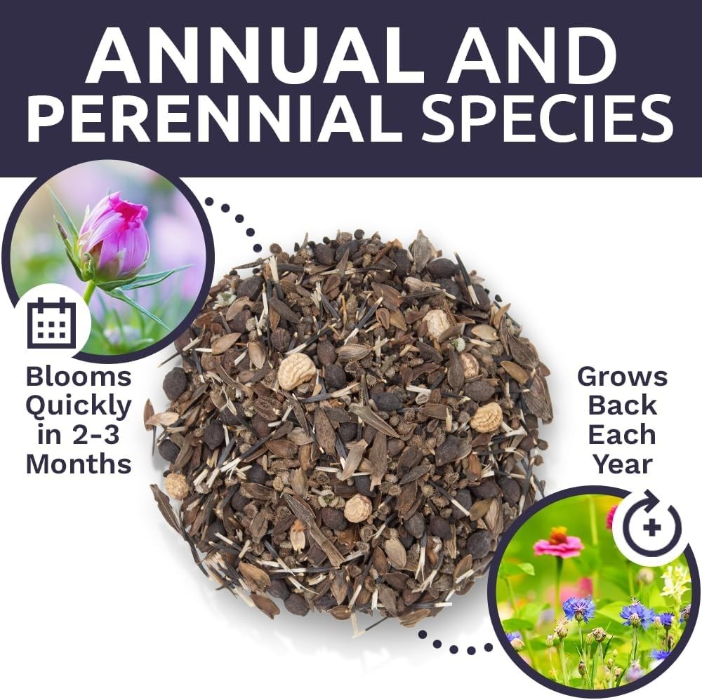 Wildflower Seeds Mix – 7,500+ Butterfly & Hummingbird Favorites for a Vibrant…