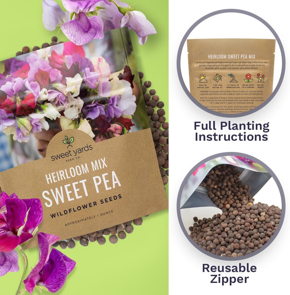 Sweet Pea Seeds Heirloom Mix – Bulk 1 Ounce Packet – over 350 Seeds – Large Frag