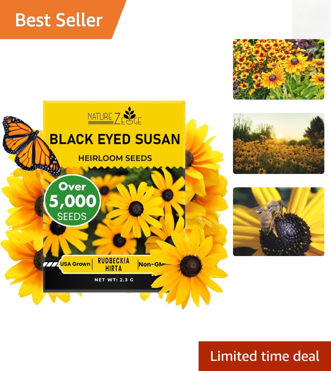 Garden-Ready Black Eyed Susan Seeds – 5000 Heirloom Seeds for Beautiful Blooms