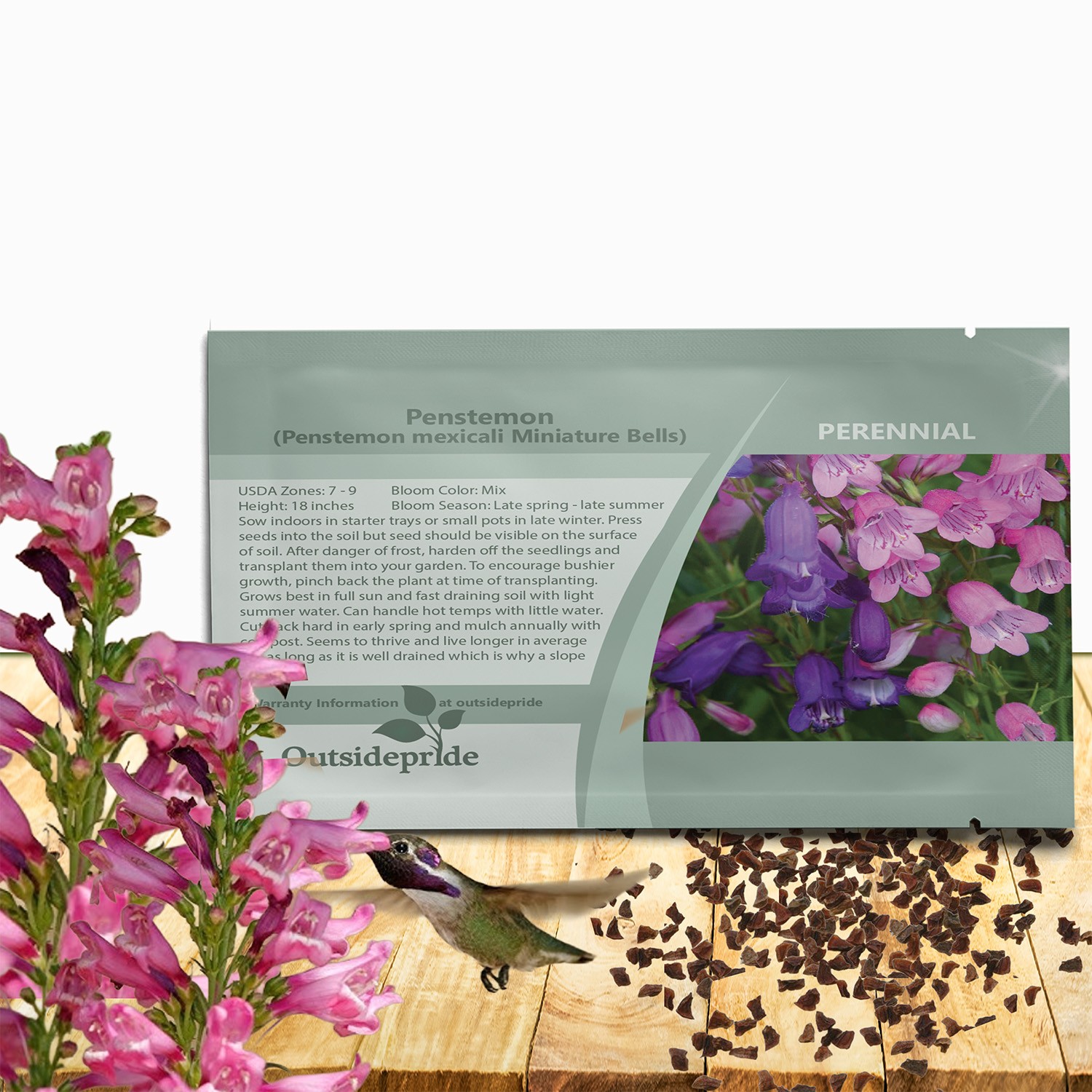 250 Seeds Penstemon mexicali Miniature Bells Garden Flowers