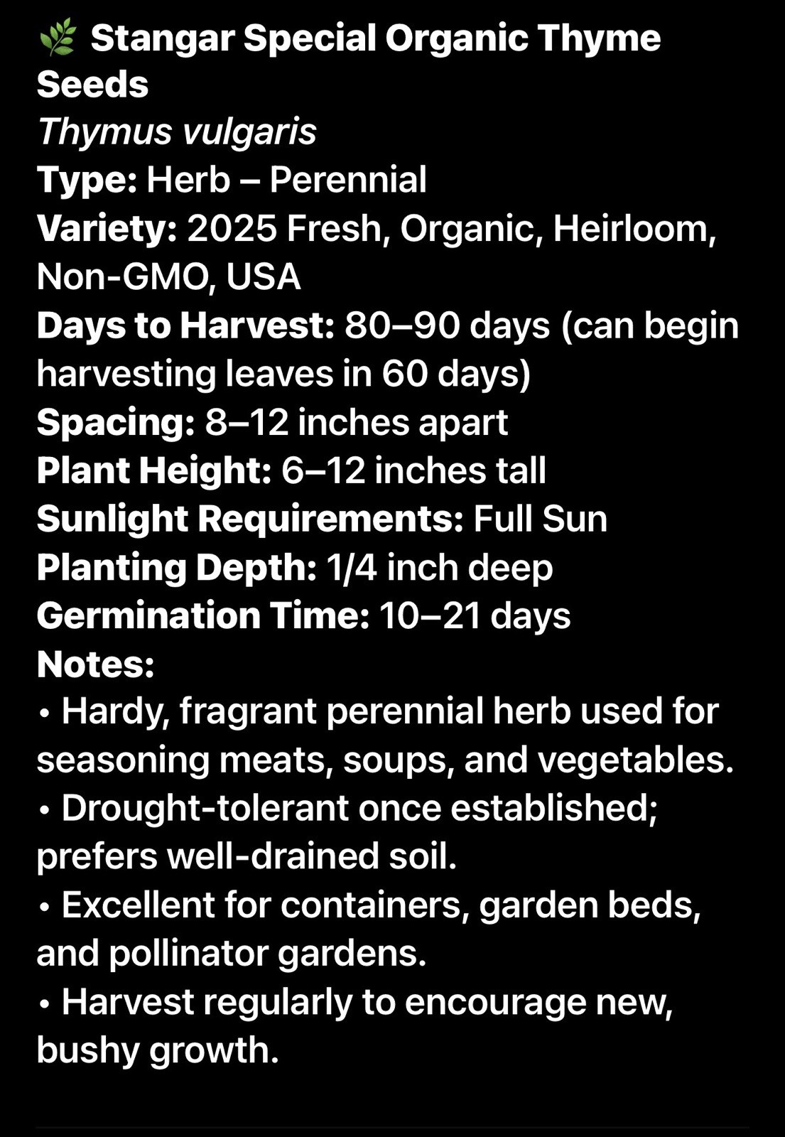 Stangar Special Organic Thyme Seeds 2026 USA Fresh Heirloom