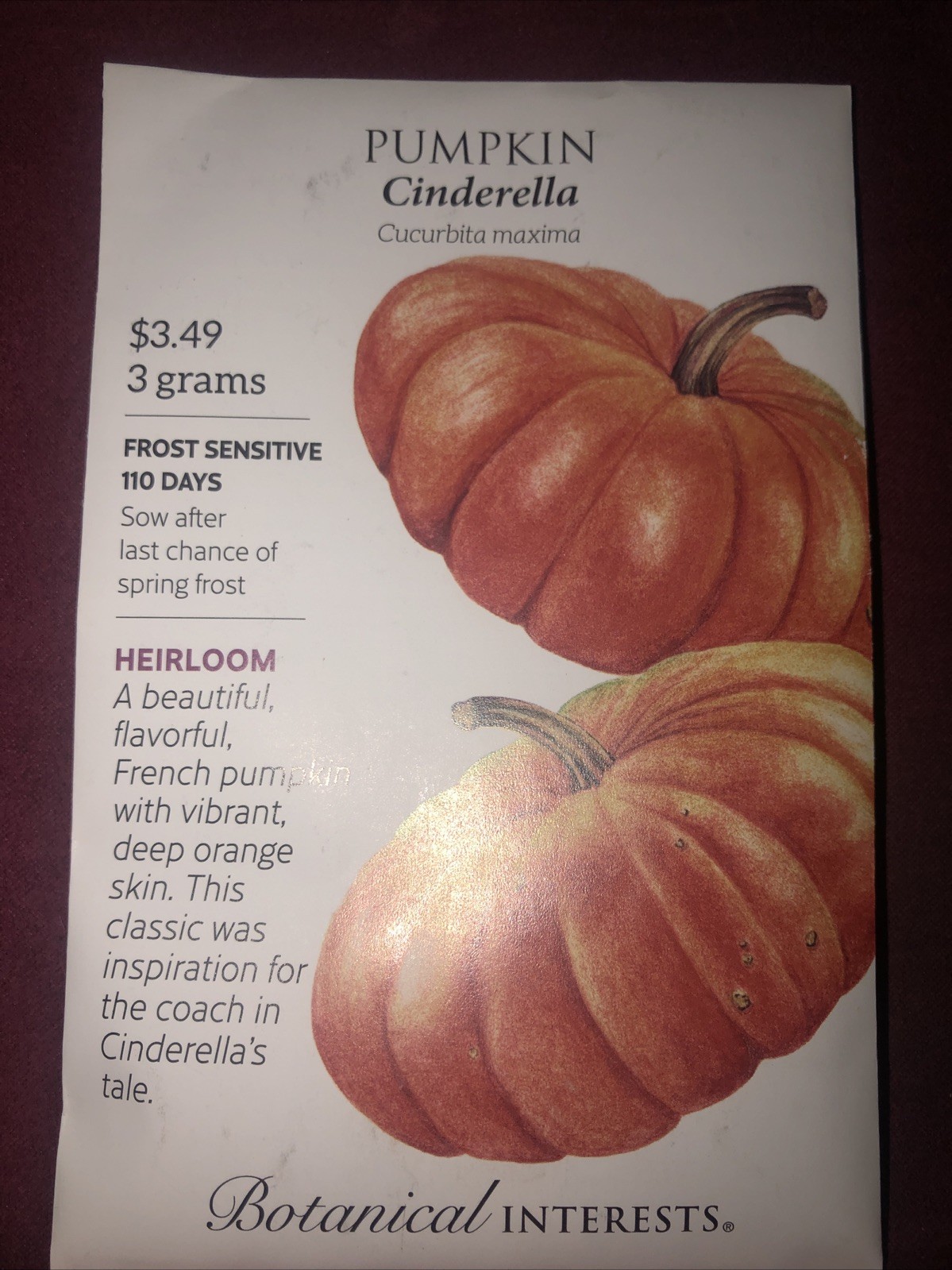 Pumpkin Cinderella Heirloom Seeds Botanical Interests Hybrid Exp. 12/2024
