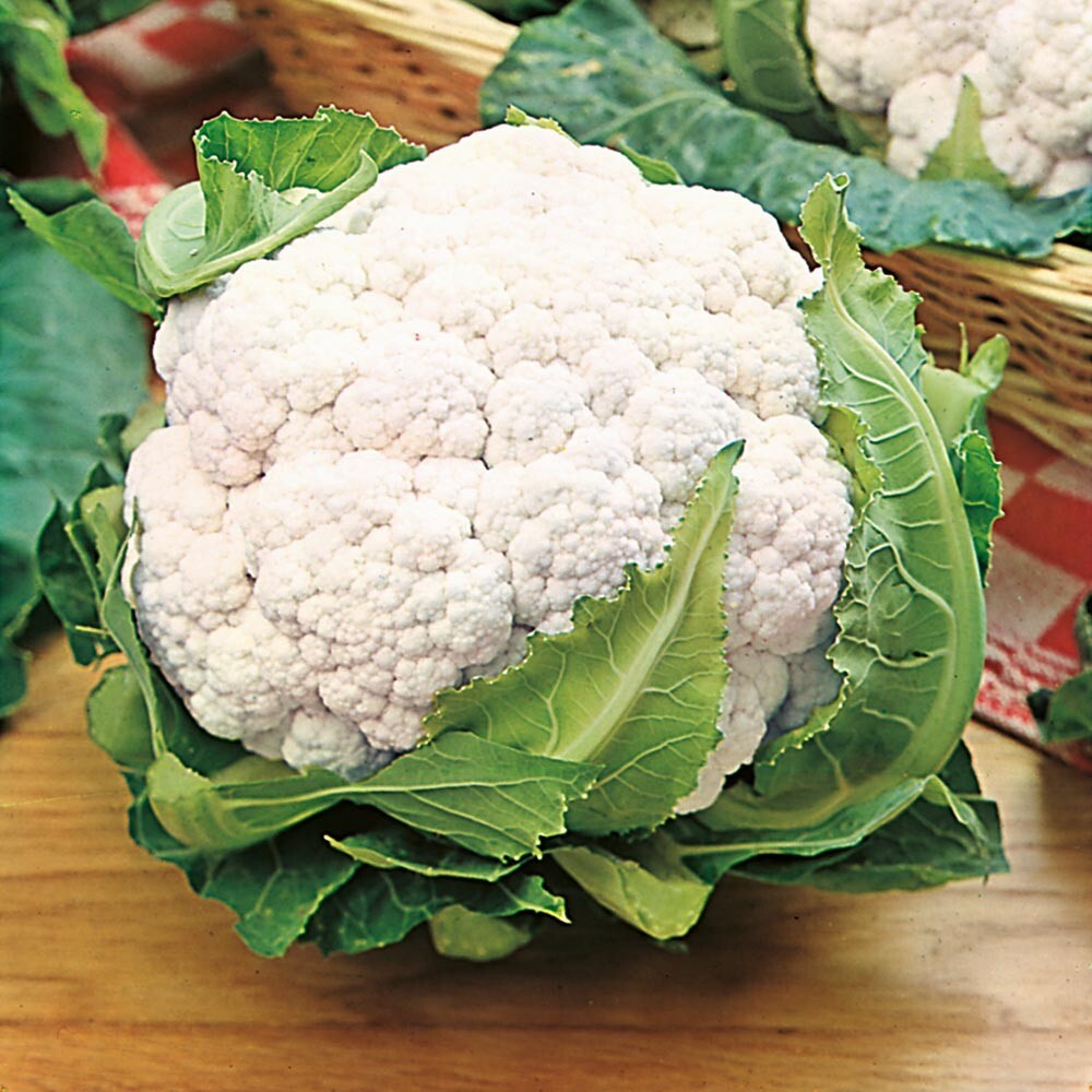 200mg Snowball Cauliflower Seeds