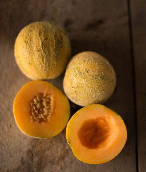 MINNESOTA MINI MELON – CANTALOUPE SEEDS – SUPER SWEET – ORGANIC – 15 SEEDS