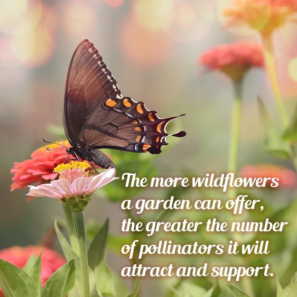 1oz Monarch Butterfly Wildflower Seed Packet – Attract Pollinators with Ease