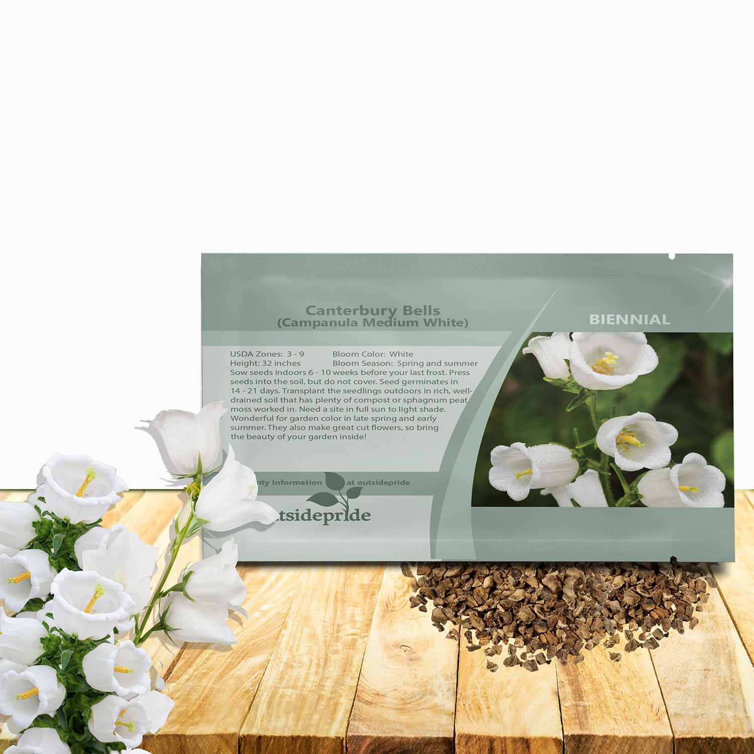 5000 Seeds Canterbury Bells Seed – Campanula Medium White Flower Seeds