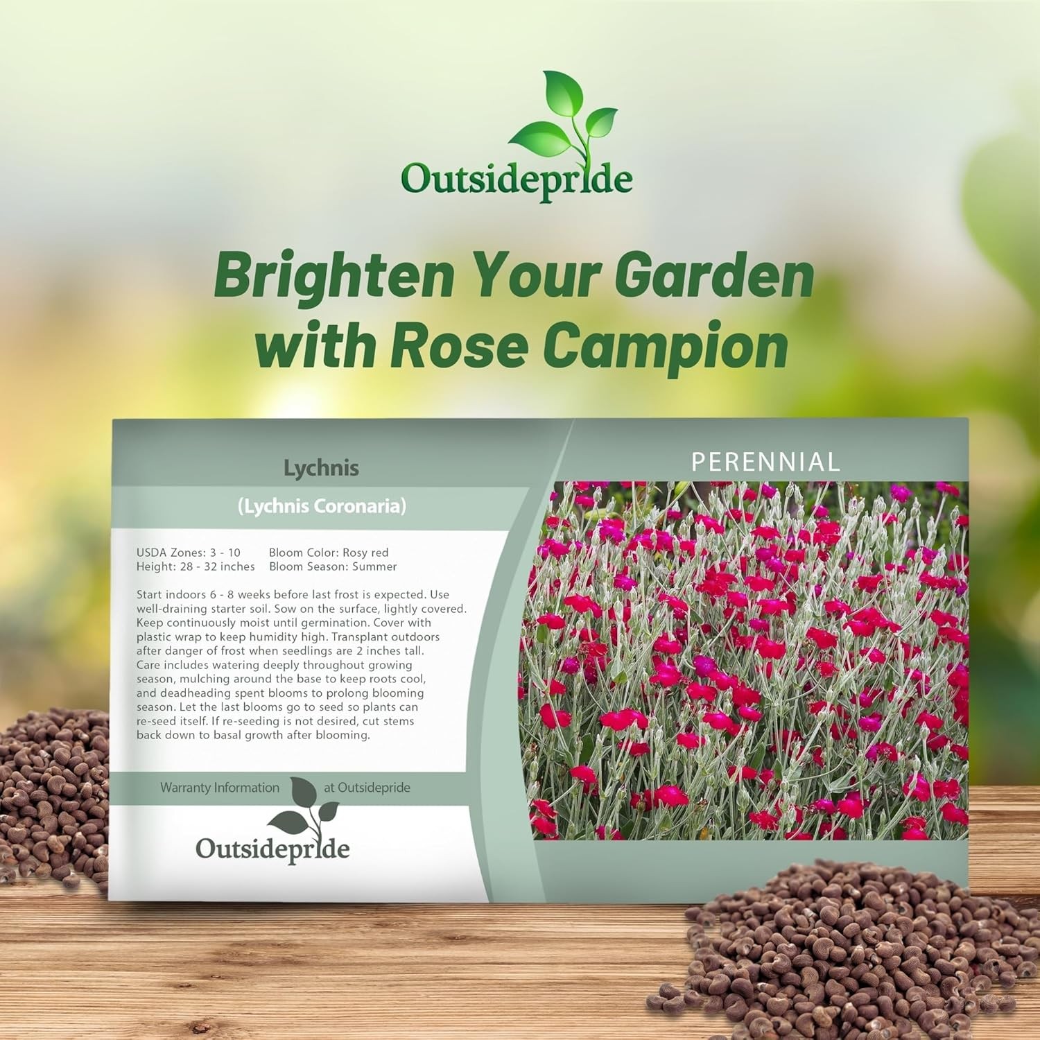 10000 Seeds Lychnis Seed – Lychnis Coronaria Rose Campion Flower Seeds