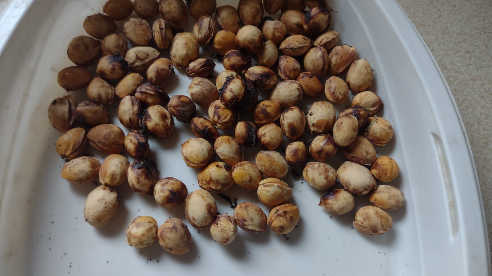 15 BLACK CHERRY SEEDS | SWEET EDIBLE FRUIT | USA Native Tree 1