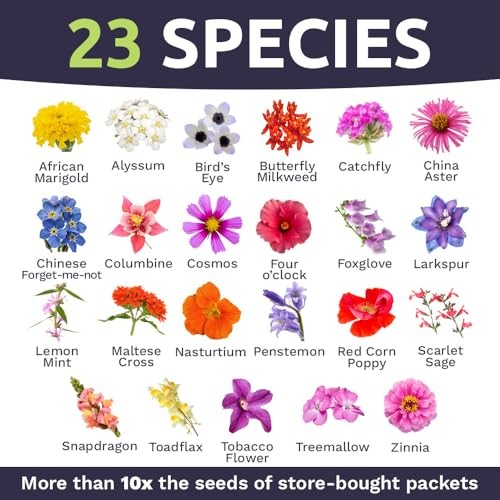 Wildflower Seeds Butterfly and Humming Bird Mix – Large Packet 7,500+ 1 Ounce