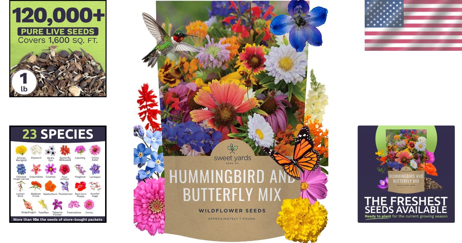 Hummingbird Butterfly Seed Mix – 1lb Bag – 23 Flower Species