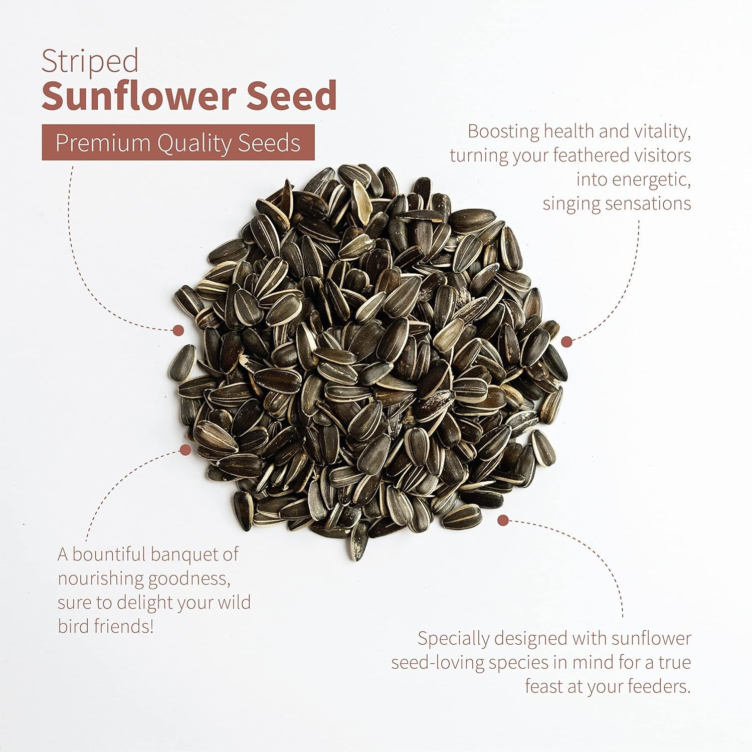 Wild Bird Food: Hulled Sunflower Seeds for Attracting Backyard Birds