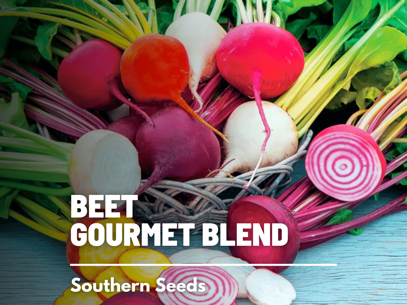 Beet, Gourmet Blend – 50 Seeds, Heirloom Vegetable (Beta vulgaris)