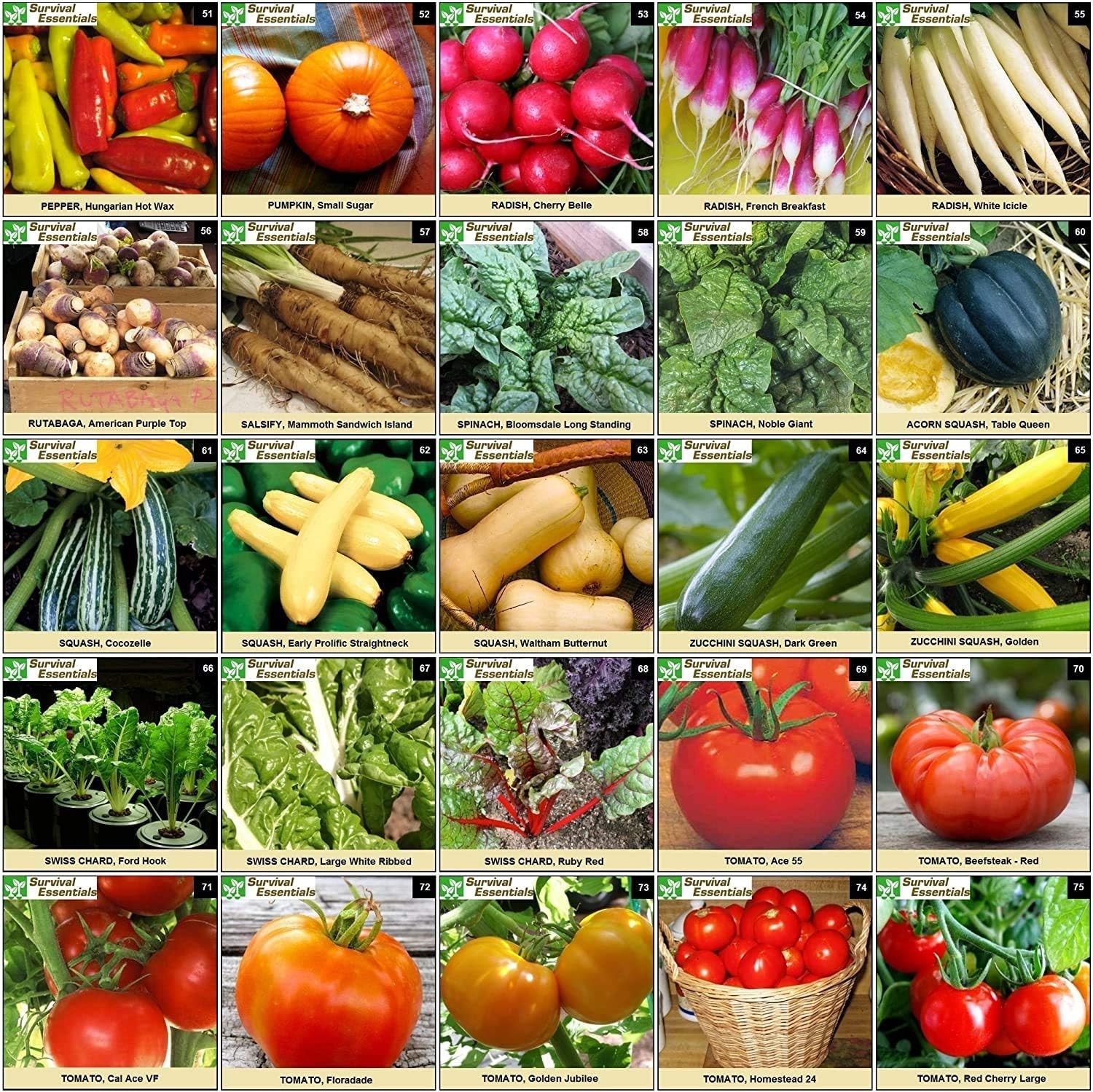 Heirloom Seed Vault 100 Variety Non-GMO Veggie Fruit Herb Survival Garden Kit