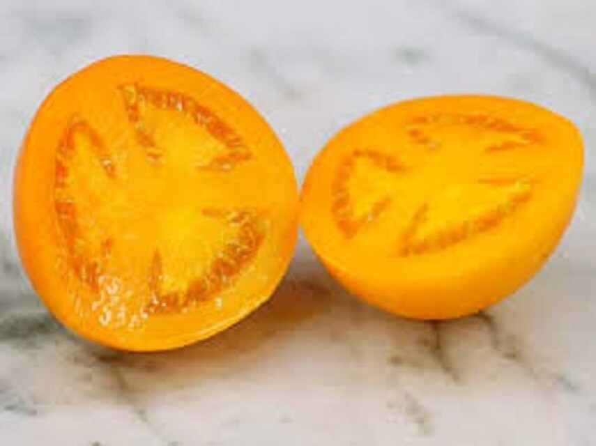 Golden Jubilee Tomato Seeds 150 Ct Vegetable HEIRLOOM NON-GMO USA FREE SHIPPING