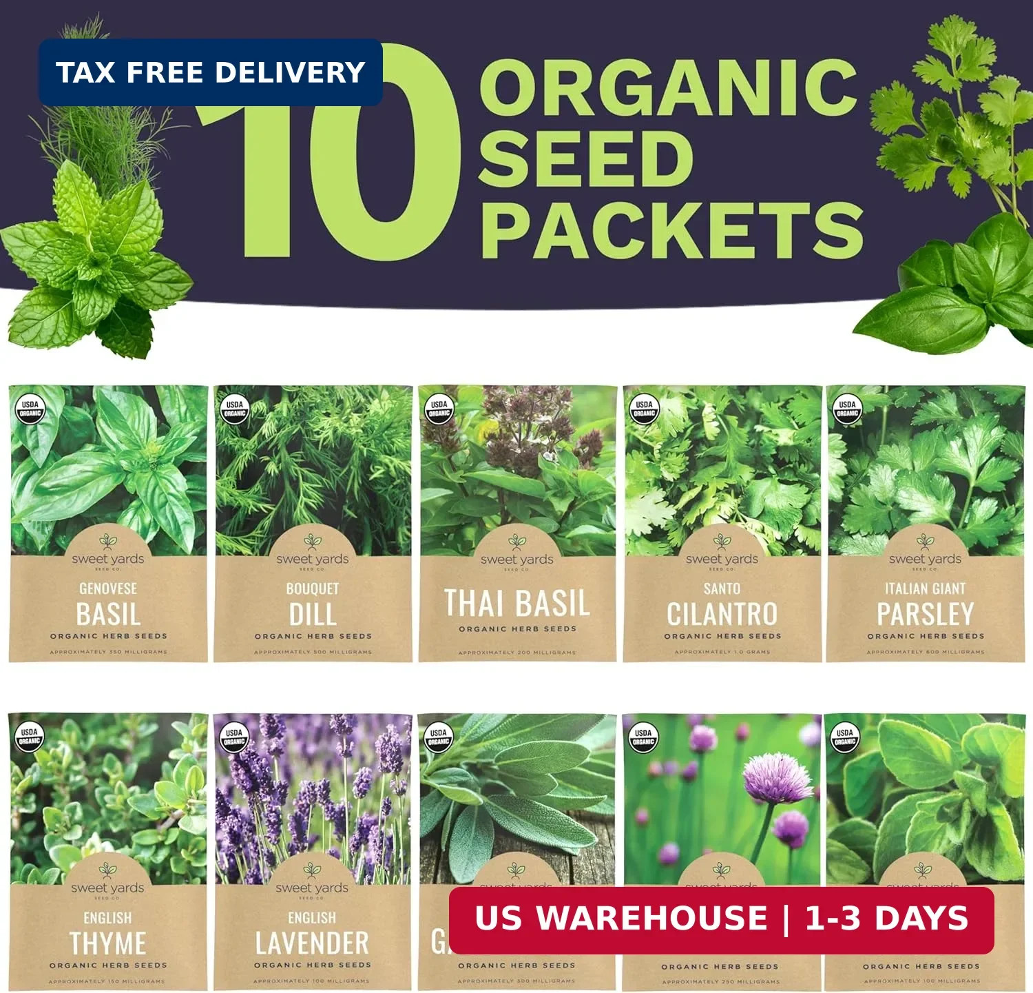 Organic Herb Seeds Variety Pack – 10 Individual Packs – 2026 Season – Basil, Cil