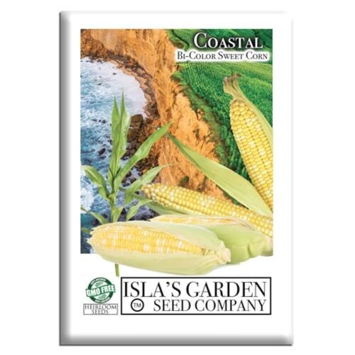 Bi-Color Sweet Corn Seeds (Zea mays) Coastal Orgin & Variety – 50+ Non-GMO