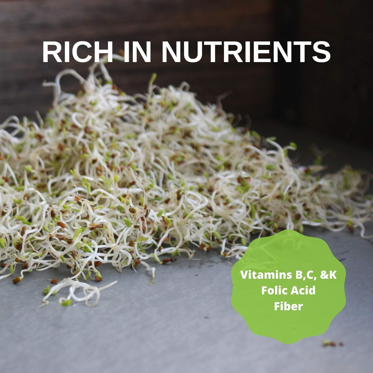 Certified Organic Alfalfa Seed – High Germination