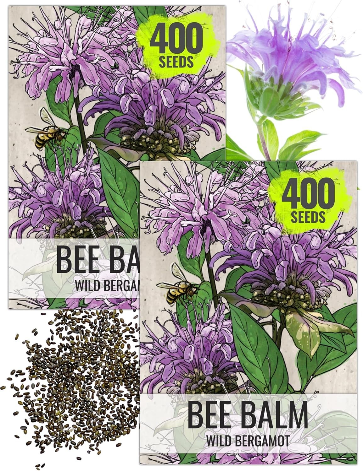 Bee Balm Seeds