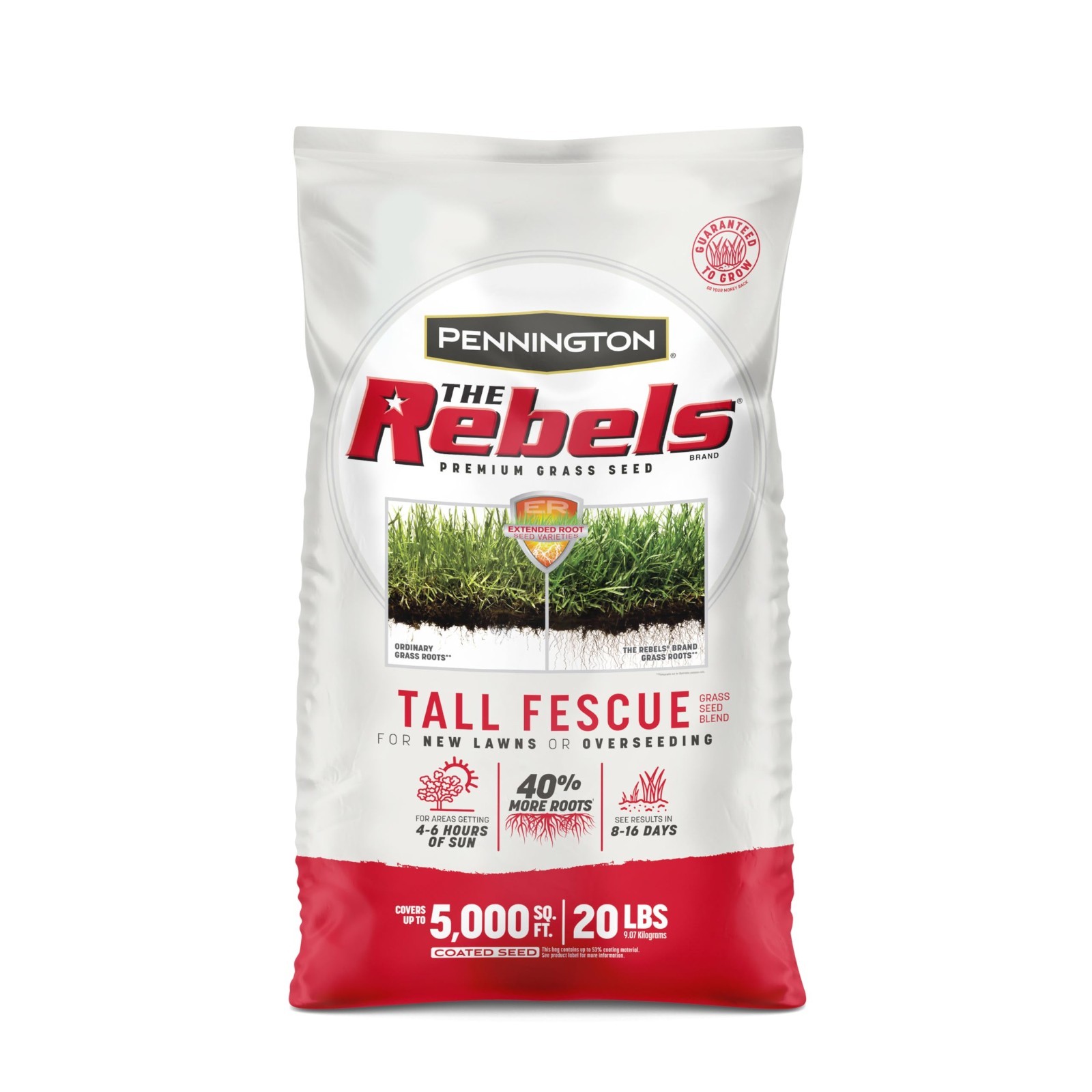 Tall Fescue Grass Seeds for Lawn – 20 lb Premium Turf Seed, Drought Resistant