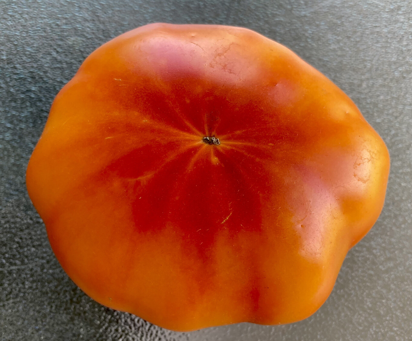 Old German Tomato, Non-GMO Heirloom, 25 Seeds