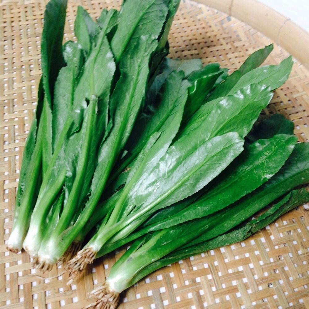 Culantro NGO GAI Naturally Grown 100 mg Seeds for Planting, Eryngium Foetidium,