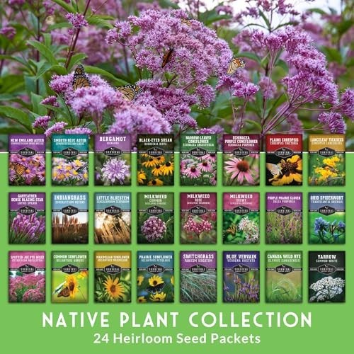 Wildflower Seeds Variety Pack – 24 Non-GMO Perennial & Annual Flowers for Pollin