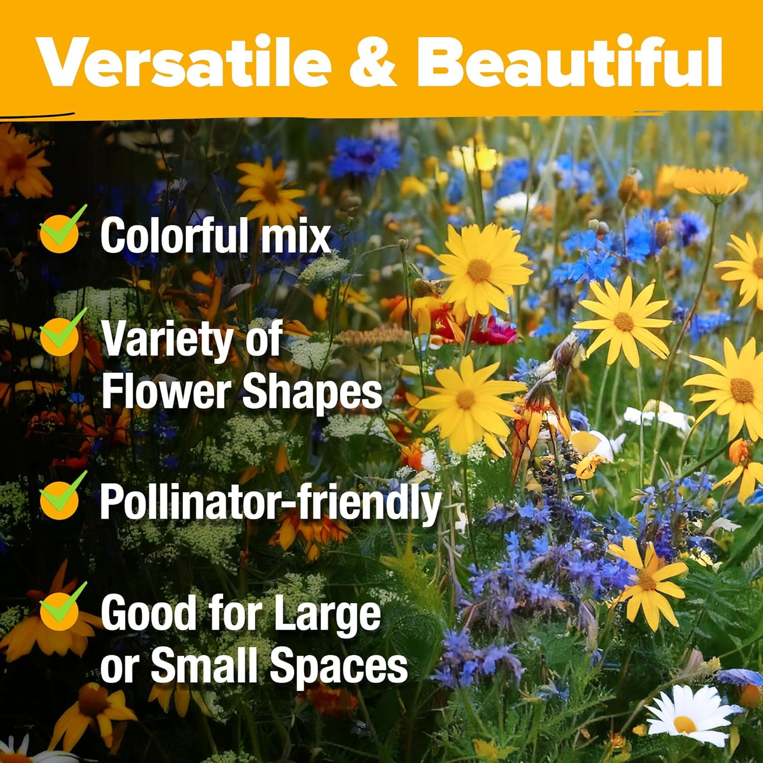 Wildflower Seeds Bulk Mix | 90,000+ Non-Gmo Perennial Flower Seed for Outdoor Pl