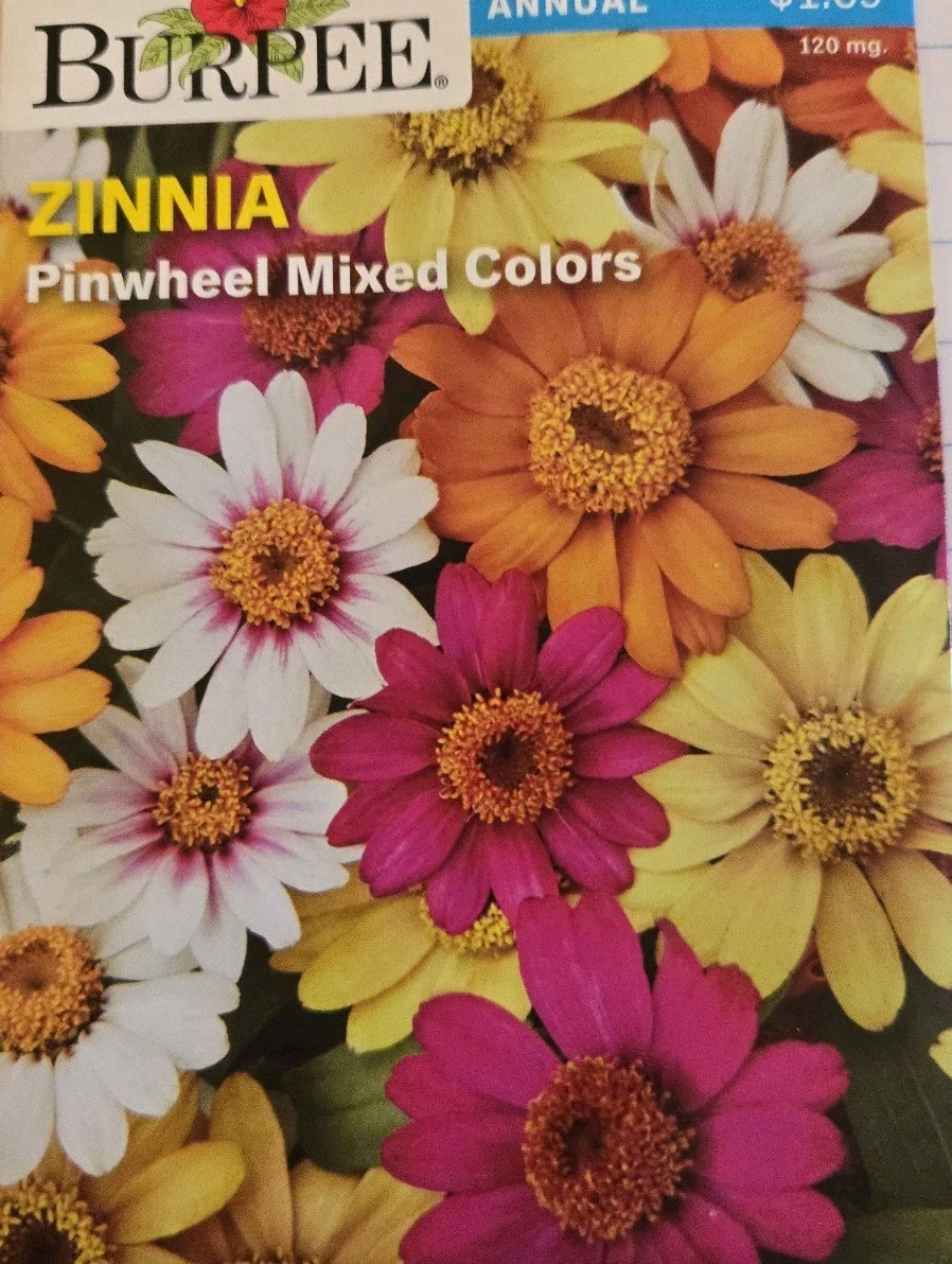BURPEE ZINNIA Pinwheel MIXED COLORS ANNUAL 120mg