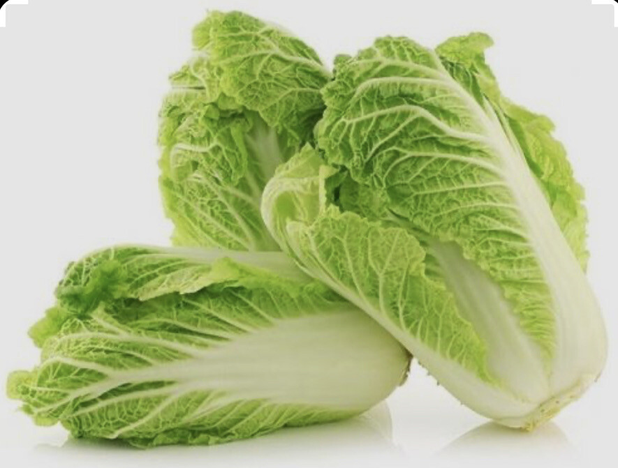 1000 CHINESE MICHIHLI CABBAGE Seeds-Non GMO-Organic-Open Pollinated.