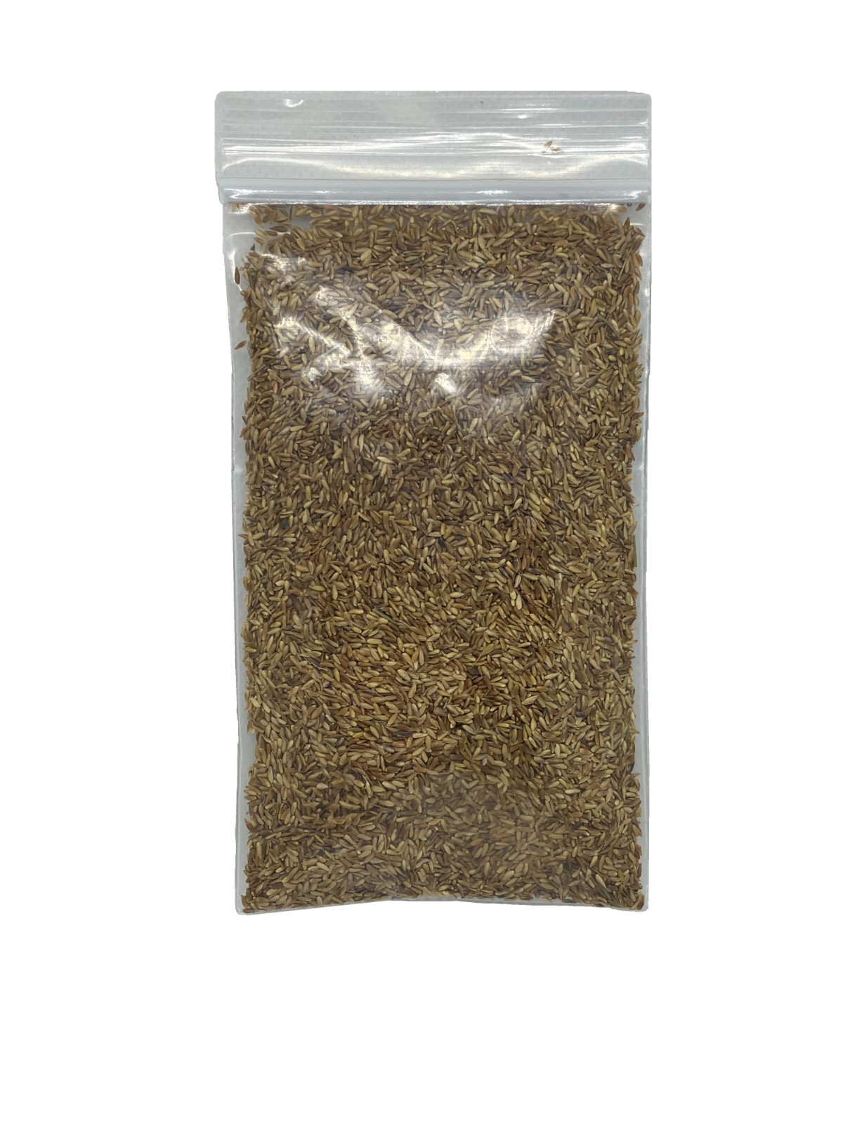 Zenith Zoysia 12,000+ Grass Seeds for a Healthy, Low-Maintenance Lawn – 1 ounce.