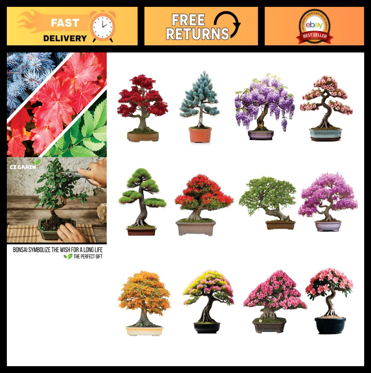 Bonsai Tree Seeds Kit – 12 Varieties, 300+ Seeds – Maple, Spruce, Cherry & More