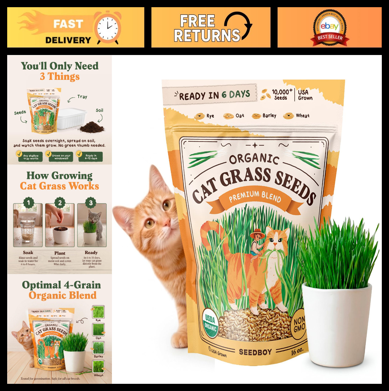 Organic Cat Grass Seeds – Non-GMO Wheat, Oat, Rye & Barley for Indoor Cats (16oz