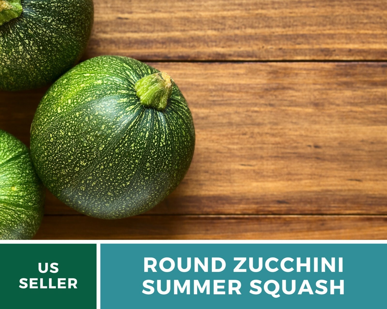 Squash, Zucchini Round Summer – 25 Seeds – Heirloom – GMO Free (Cucurbita pepo)