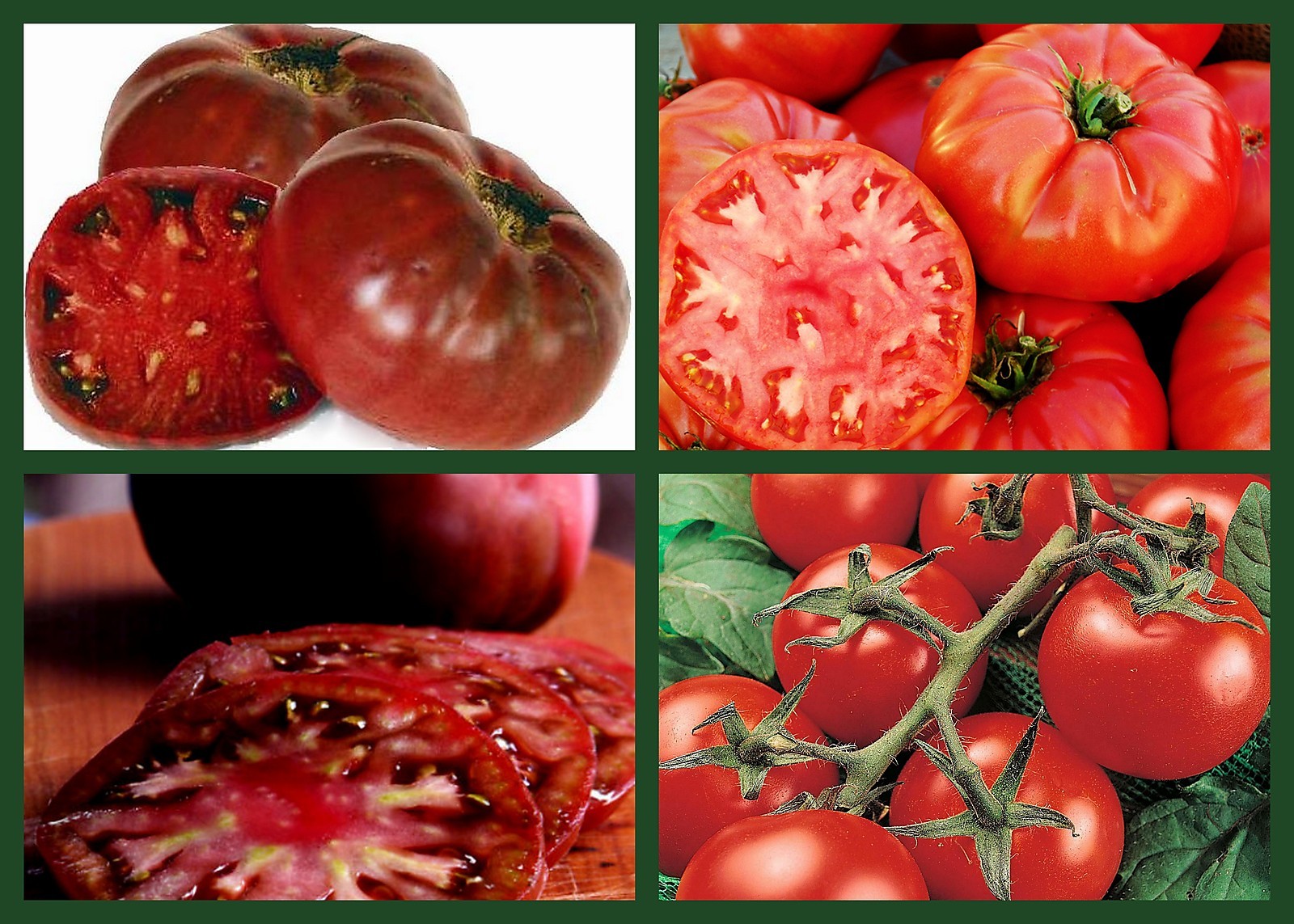 Tomato Seeds, Terrific Tomatoes, 4 Pk Special, Heirloom, Unusual & Very Tasty!
