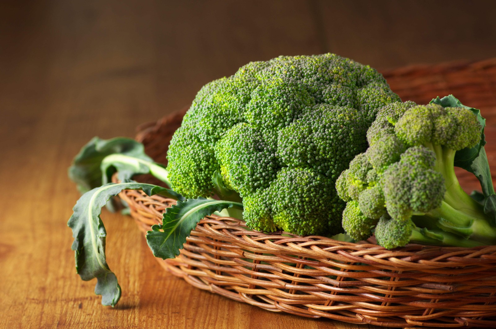 1000 Organic DE CICCO BROCCOLI Di Cicco Brassica Oleracea Vegetable Seeds