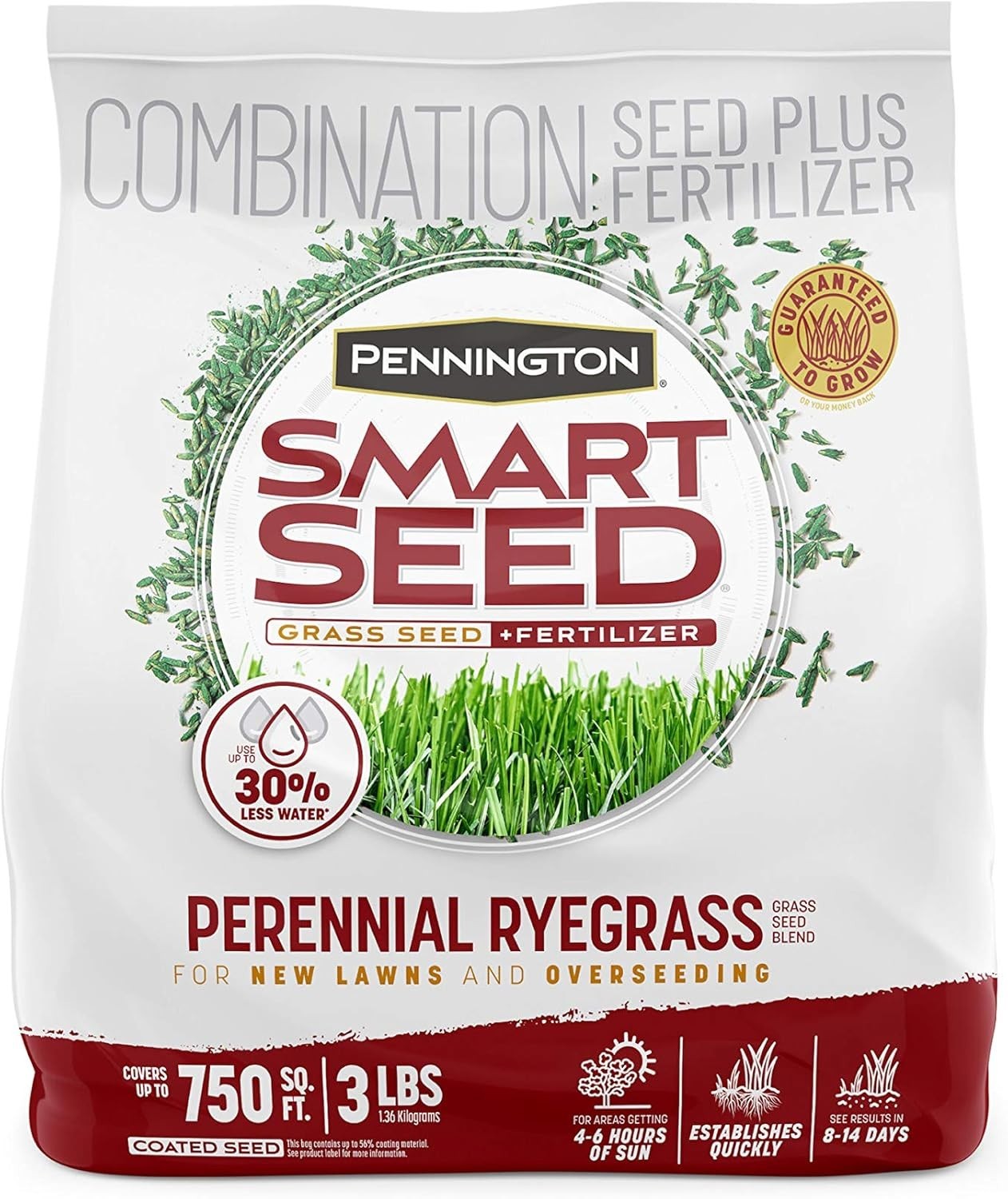 Pennington Smart Seed Perennial Rye 3 Lb, Perennial Ryegrass Seed
