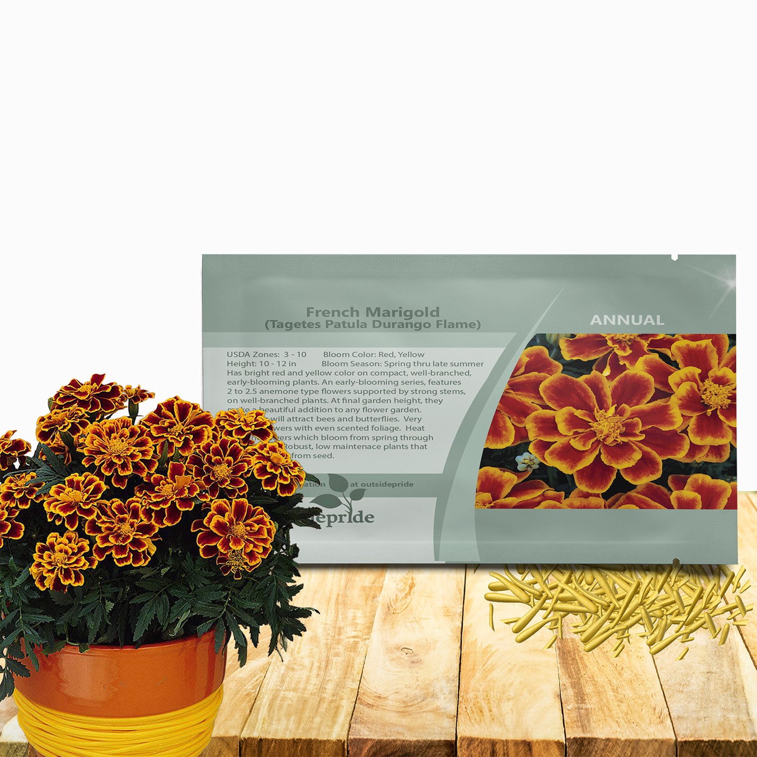 250 Seeds French Marigold Tagetes Patula Durango Flame Flower Seeds