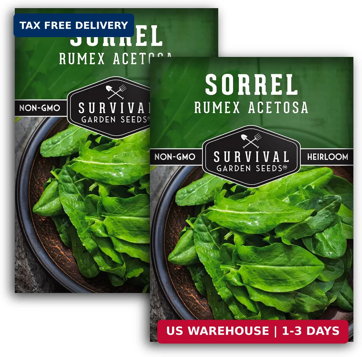 Sorrel Seeds for Planting – Large Leaf Garden Sorrel – Cool Weather Perennial Ve