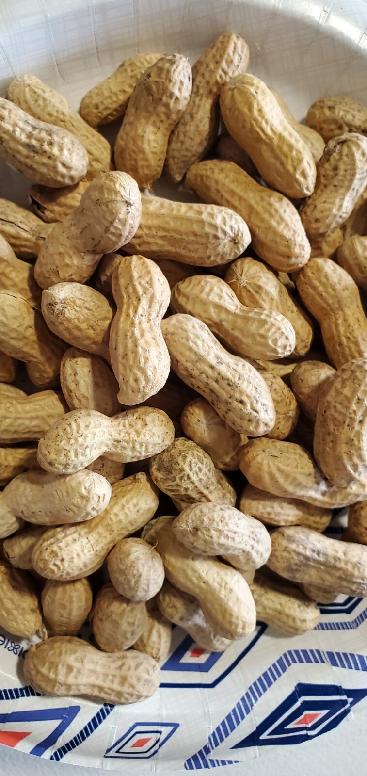 1/2Lb In Shell Virginia Jumbo Peanut Seeds Heirloom Non GMO Free Shipping