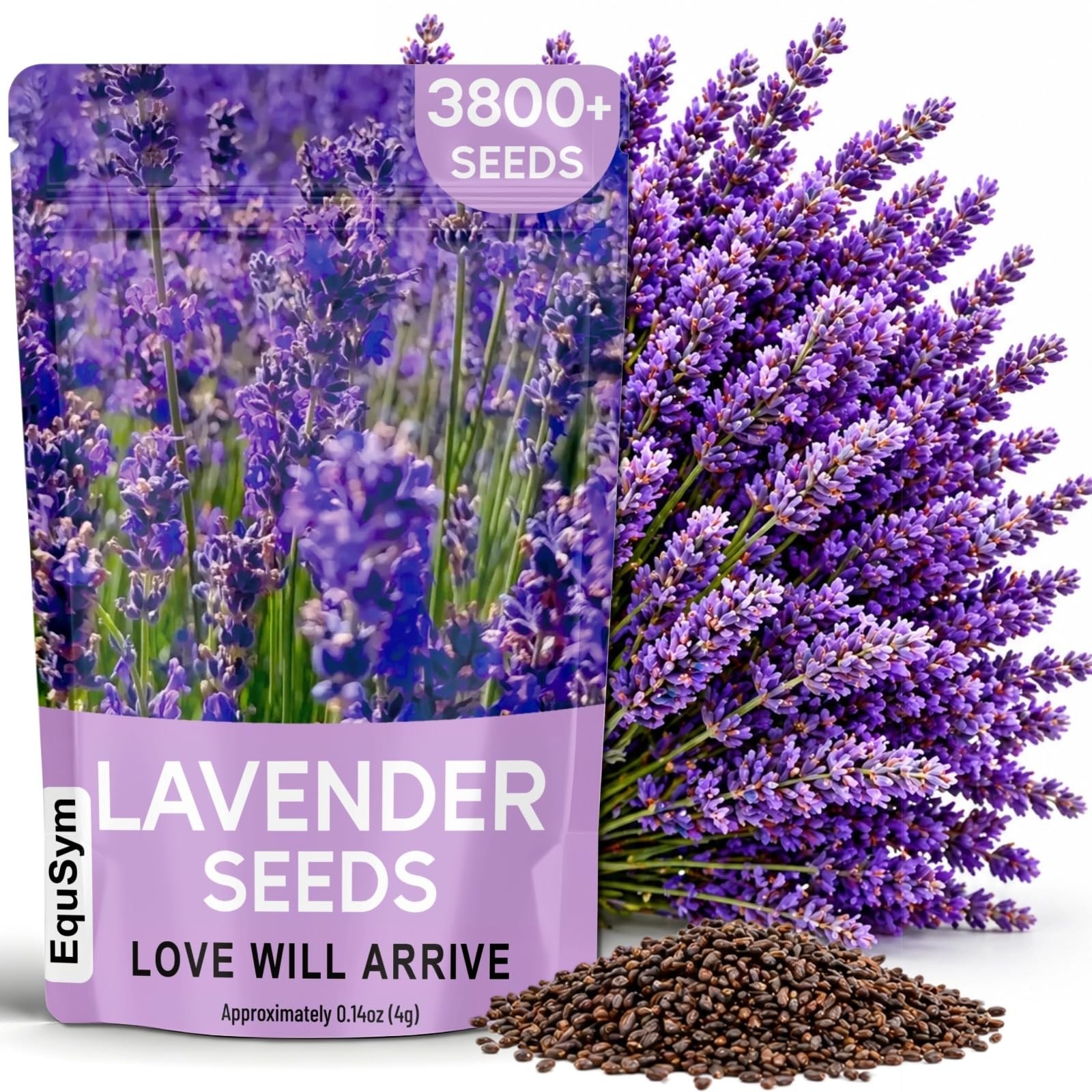 Lavender Seeds for Planting 3800+ English Lavender Seeds for Indoor & Outdoo…