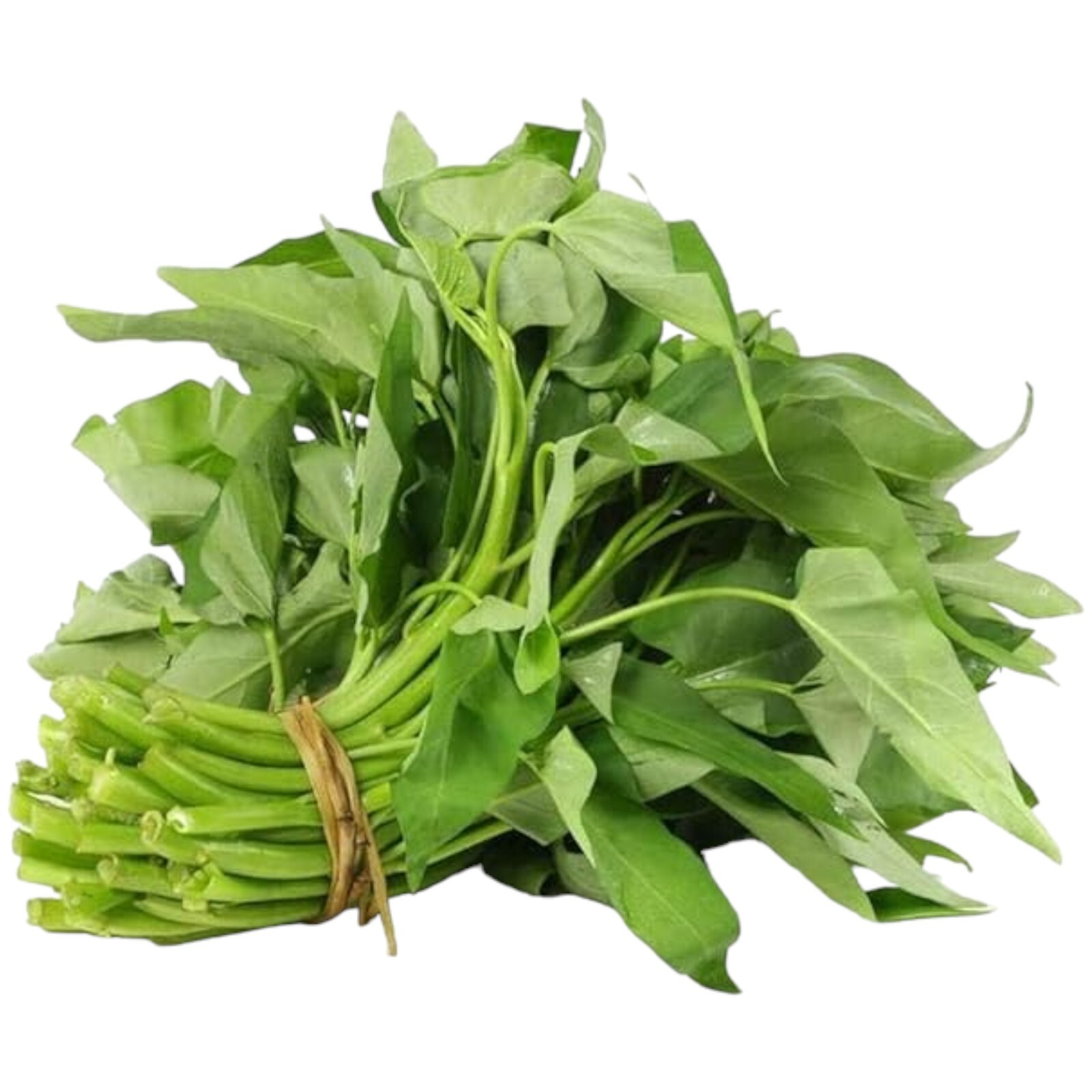 120pcs Water Spinach ‘Kong Xin Cai’ Seeds – Organic, Non-GMO Heirloom Vegetable