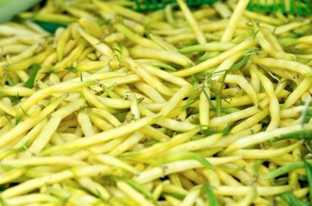 Wax Pod Bean Seed: Cherokee Wax Bean Seeds Fresh Seed FREE Shipping