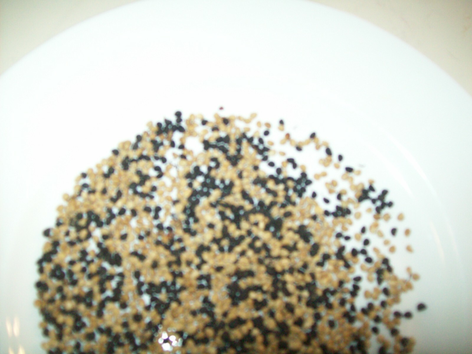 New Harvest 3 Tablespoons of Assorted Morning Glory Seeds Garden or Animal Feed
