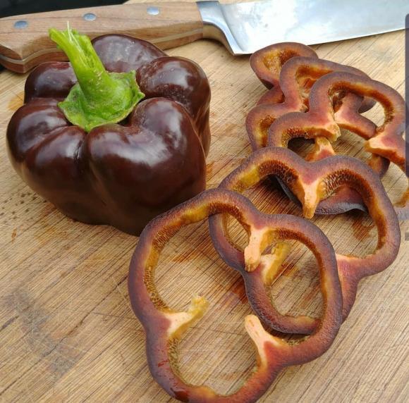 Chocolate Beauty Pepper | Sweet | Organic