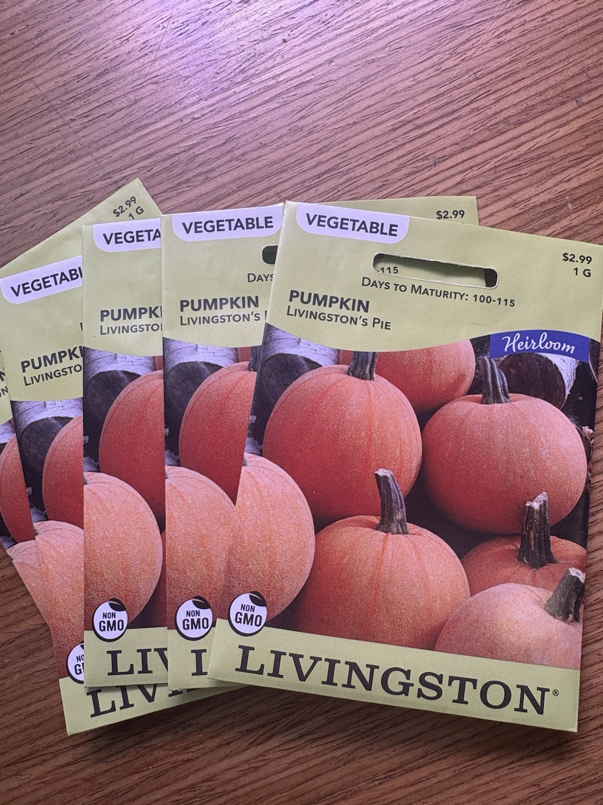 5 PACK Livingston Seed Company Pie Pumpkin Heirloom Non-GMO Vegetable Seeds