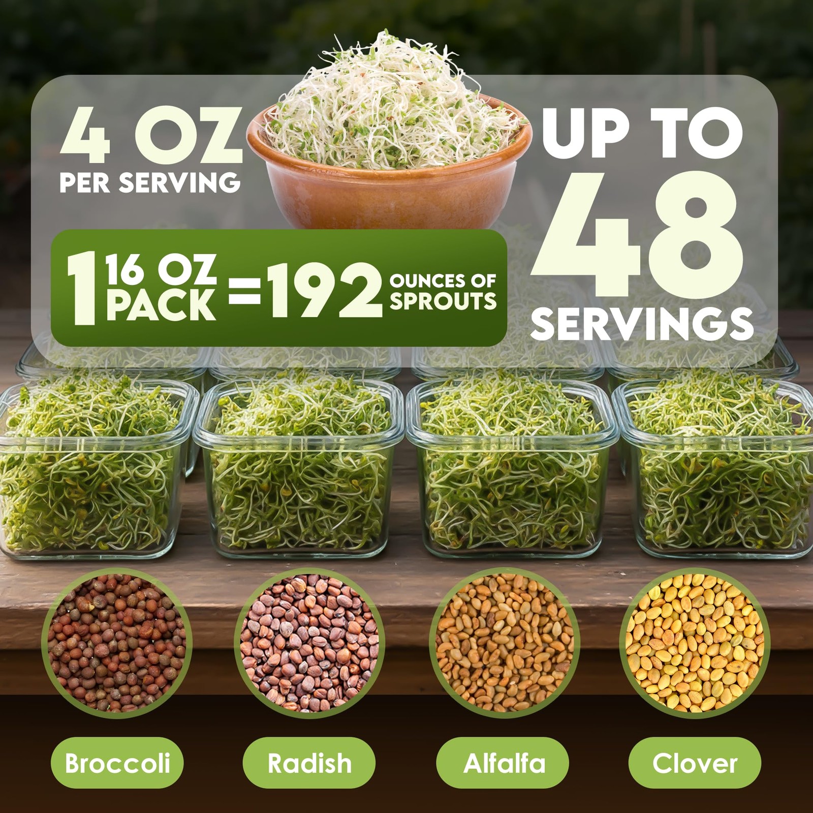 Organic Microgreen Seed Mix – 1lb Non-GMO Broccoli Alfalfa Radish