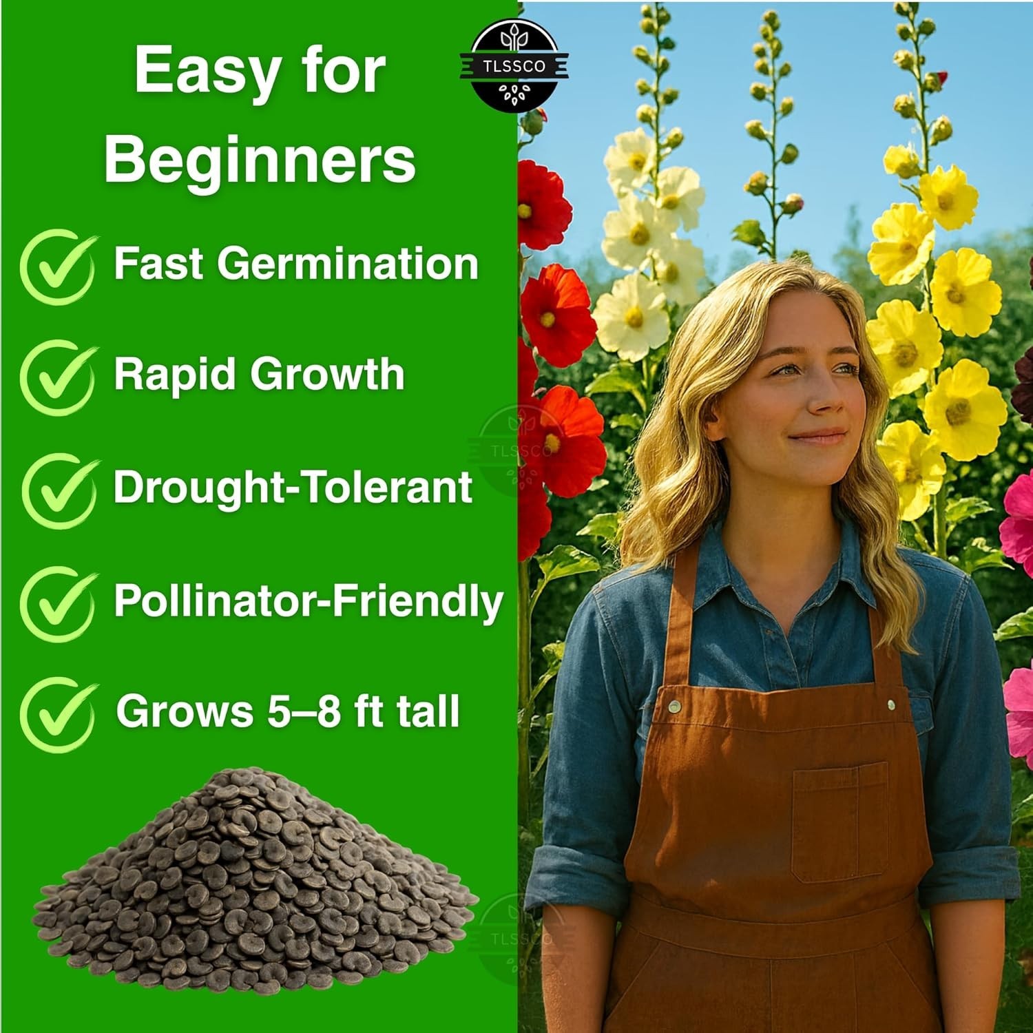 Vibrant 225+ Hollyhock Flower Seeds – Non-GMO Carnival Mix for Garden Bliss